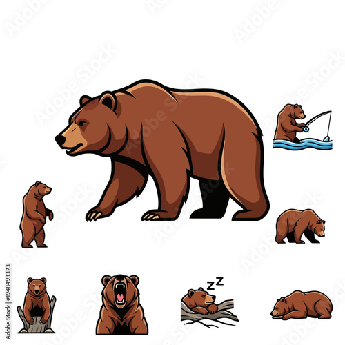 Brown Bear Collection: Standing, Fishing, Sleeping, Roaring, Walking
