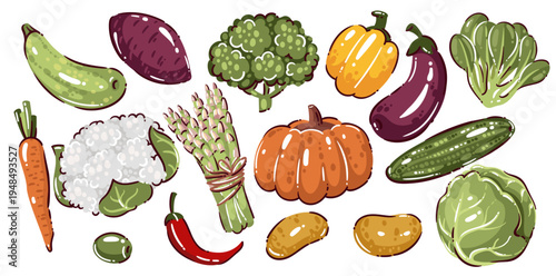Vegetable set with pumpkin, cucumber, eggplant, broccoli, cauliflower, asparagus, carrot, chili pepper, potato, cabbage, squash, leafy greens. Cartoon vector illustration of vegetable icons