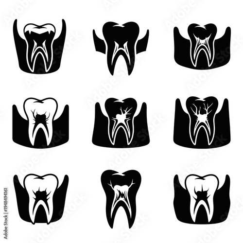 Dental Anatomy Icons: Molars and Roots Vector Illustration