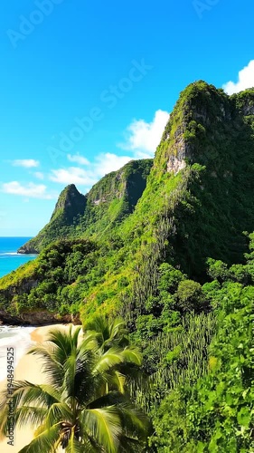 Tropical beach with palm trees and mountains.