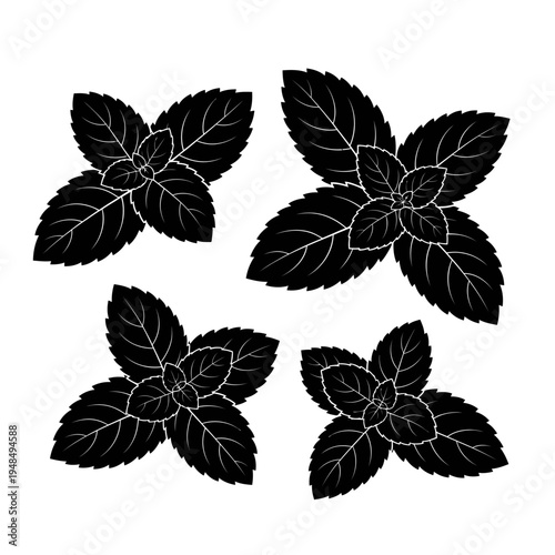 Four Black Silhouette Mint Leaves Pattern Isolated on White Background