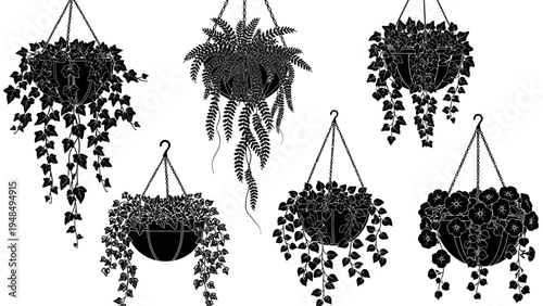 Hanging Plants Collection Black and White Illustration