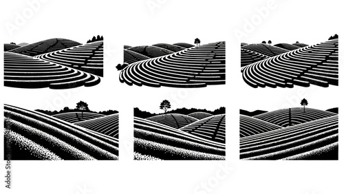 Rolling Hills Landscape - Black and White Terraced Fields Illustration