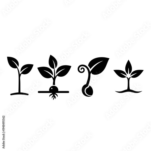 Seedling Growth Stages Icons: Sprout, Plant Embryo, Germination, Young Plant
