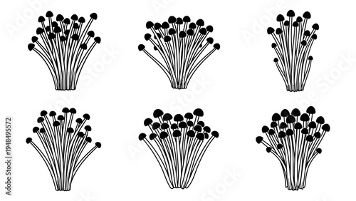 Set of 6 Hand-Drawn Enoki Mushroom Illustrations
