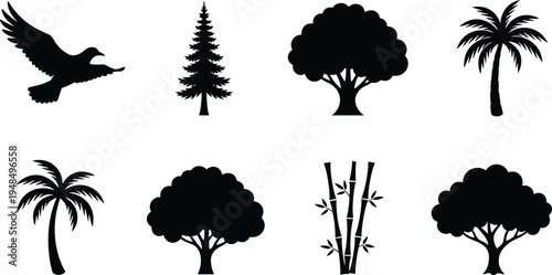 Collection of bird and tree silhouettes including palm pine bamboo and deciduous trees isolated as black vector icons for nature landscape design