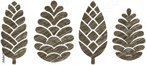 Pinecone variety scribble style vector illustration set with hand drawn