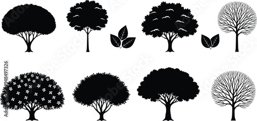 Collection of detailed tree and leaf silhouettes including deciduous flowering and bare trees isolated as black vector icons for nature landscape design