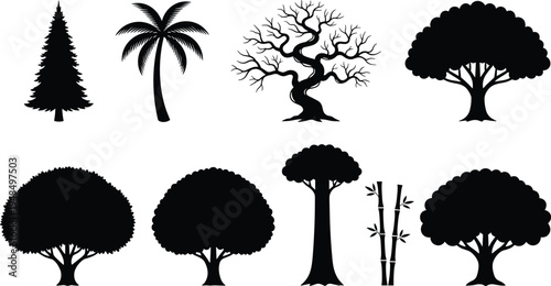 Collection of diverse tree silhouettes including pine palm bamboo bare and deciduous trees isolated as black vector icons for nature landscape design