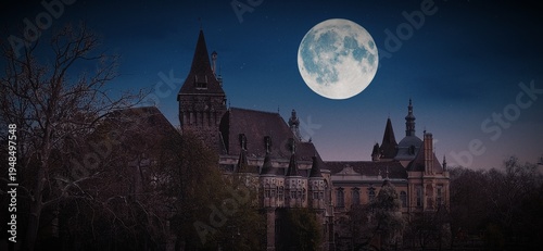Photography Full moon rising over the towers of Vajdahunyad Castle in Budapest at night