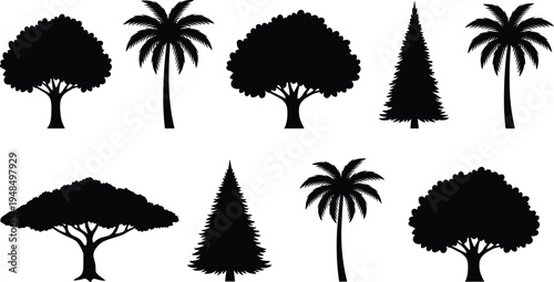 Collection of palm pine and deciduous tree silhouettes isolated as black vector icons for tropical forest nature landscape botanical design
