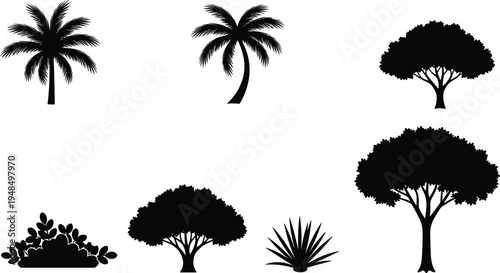 Collection of palm tree bush and plant silhouettes isolated as black vector icons for tropical forest nature landscape botanical design