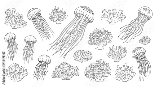 Hand-drawn set of various jellyfish and coral reef elements in black and white line art style for marine biology or nautical themes.