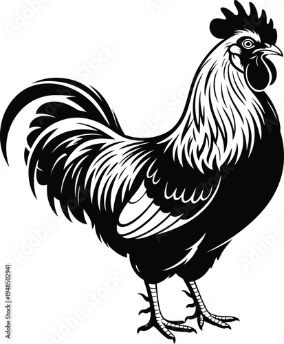 A detailed illustration of a rooster with intricate feather patterns and a prominent comb.