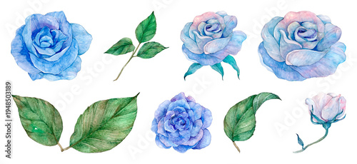 PNG Watercolor blue roses with leaves on transparent background