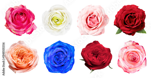 PNG Vibrant colorful roses arrangement on transparent background