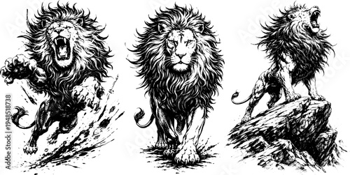 Set of hand-drawn brush stroke ink style lion illustration in vector design
