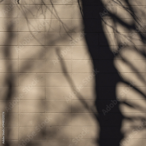 фотографія Tree shadow on painted cinder block wall