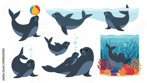 Set of various seals swimming underwater balancing a colorful ball on their nose and a mother seal with her pup in the ocean.