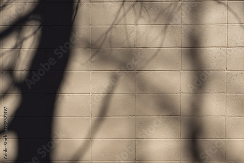 Tableau sur toile Tree shadows on painted cinder block wall