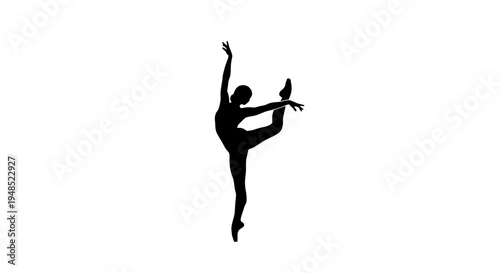 Silhouette of Female Ballet Dancer Posing.