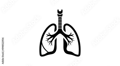 Human Lung Anatomy Illustration.