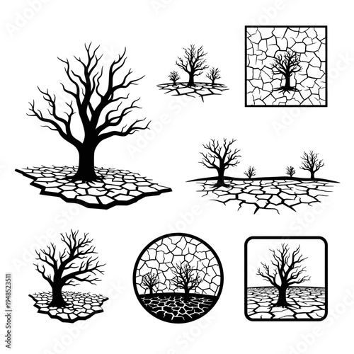Dry Cracked Earth and Barren Trees Collection