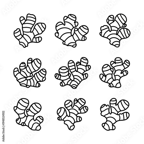 Ginger Root Outline Icons Set