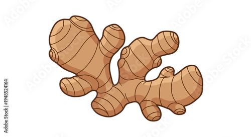 Cartoon Ginger Root Illustration Isolated on White Background