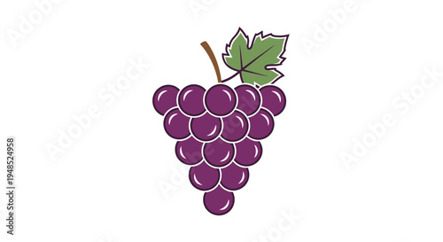 Fresh purple grapes with leaf on white background