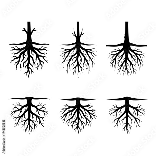 Tree Roots System Silhouette Icons - Growth and Structure