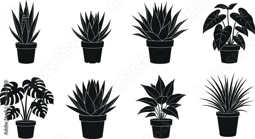 Collection of black indoor houseplant silhouettes in ceramic pots including monstera deliciosa, aloe vera, and tropical succulents isolated on white background for minimalist interior design.