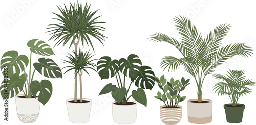 Flat vector illustration set of various indoor houseplants in ceramic pots including monstera deliciosa, palm trees, dracaena, and zz plant isolated on white background.