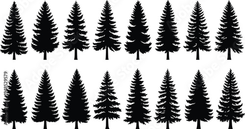 Set of black pine tree silhouettes and coniferous forest elements isolated on white background for Christmas design, mountain landscape, and nature themed vector graphics.