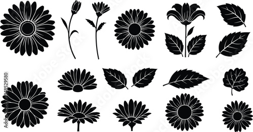 Set of Daisy and Sunflower Silhouettes with Leaves and Buds Isolated on White Background for Floral Design Elements Garden Botanical Vector Graphics Illustration