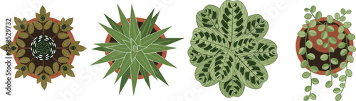 Top view vector illustration set of potted indoor plants featuring succulents, calathea, and trailing vines isolated on white background, ideal for interior design plans, architectural rendering, and 