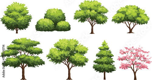 Flat vector illustration of eight different trees, deciduous and conifer, flowering and leafy, landscape design elements, nature icon set, greenery collection