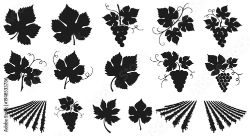 Grape Leaf Silhouette and Vineyard Plantation Graphic Design Element Vector Illustration