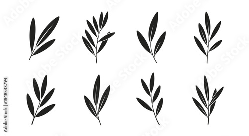 Black Olive Branch Leaf Silhouettes Set Vector Illustration Minimalist Design Elements