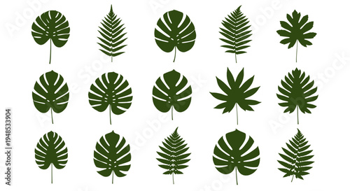 Tropical Jungle Leaf Silhouette Collection Vector Illustration for Design Elements and Patterns