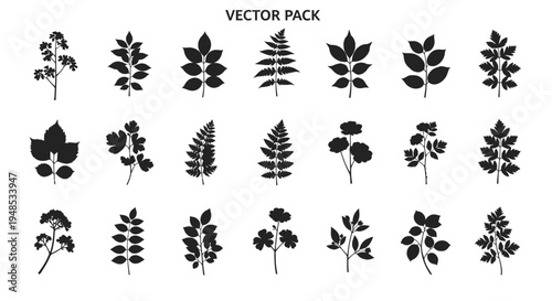 Natural Foliage and Leaf Silhouette Vector Icons Set for Botanical Graphic Design