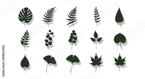 Green Plant Leaf Silhouette Icon Set Nature Eco Friendly Vector Illustration Design Elements