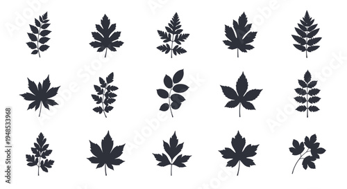 Garden Plant Leaf Silhouettes Set Botanical Vector Illustration for Natural Logo Design