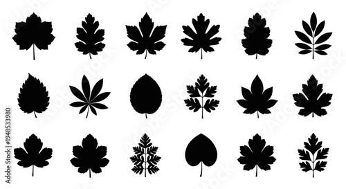 Set of Various Leaf Silhouette Icons Vector Illustration for Nature Design Elements and Graphics