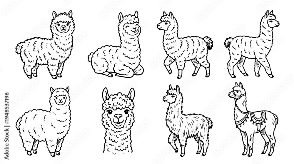 Obraz premium alpaca, Hand-drawn outline doodle sketches vector set collection , white background , PNG and SVG isolate