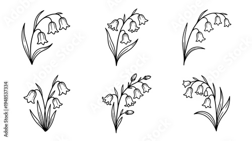bluebell, Hand-drawn outline doodle sketches vector set collection , white background , PNG and SVG isolate