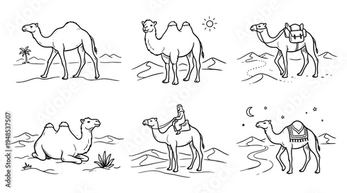 camels in desert, Hand-drawn outline doodle sketches vector set collection , white background , PNG and SVG isolate