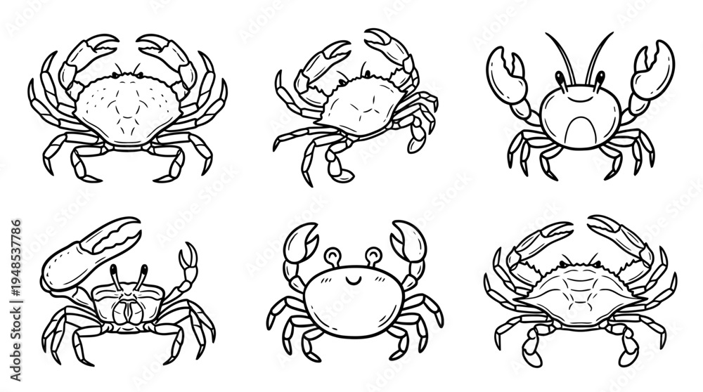 Fototapeta premium crab, Hand-drawn outline doodle sketches vector set collection , white background , PNG and SVG isolate