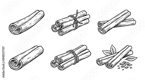 cinnamon stick, Hand-drawn outline doodle sketches vector set collection , white background , PNG and SVG isolate