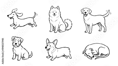 dog, Hand-drawn outline doodle sketches vector set collection , white background , PNG and SVG isolate